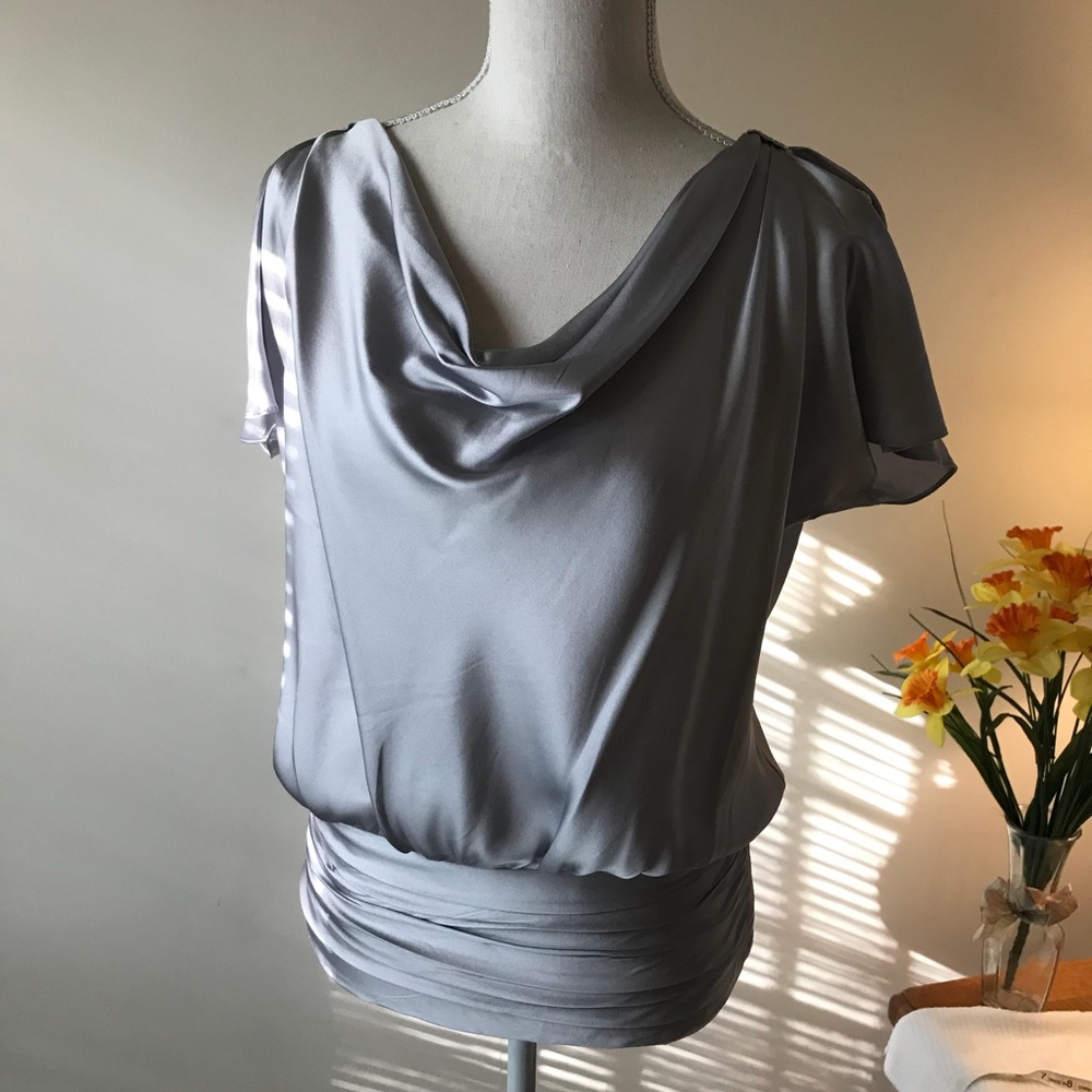WHBM silver silk blouse NWOT